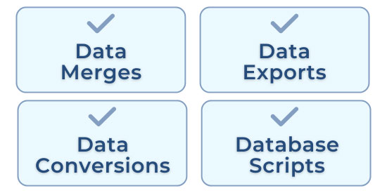 Professional Services